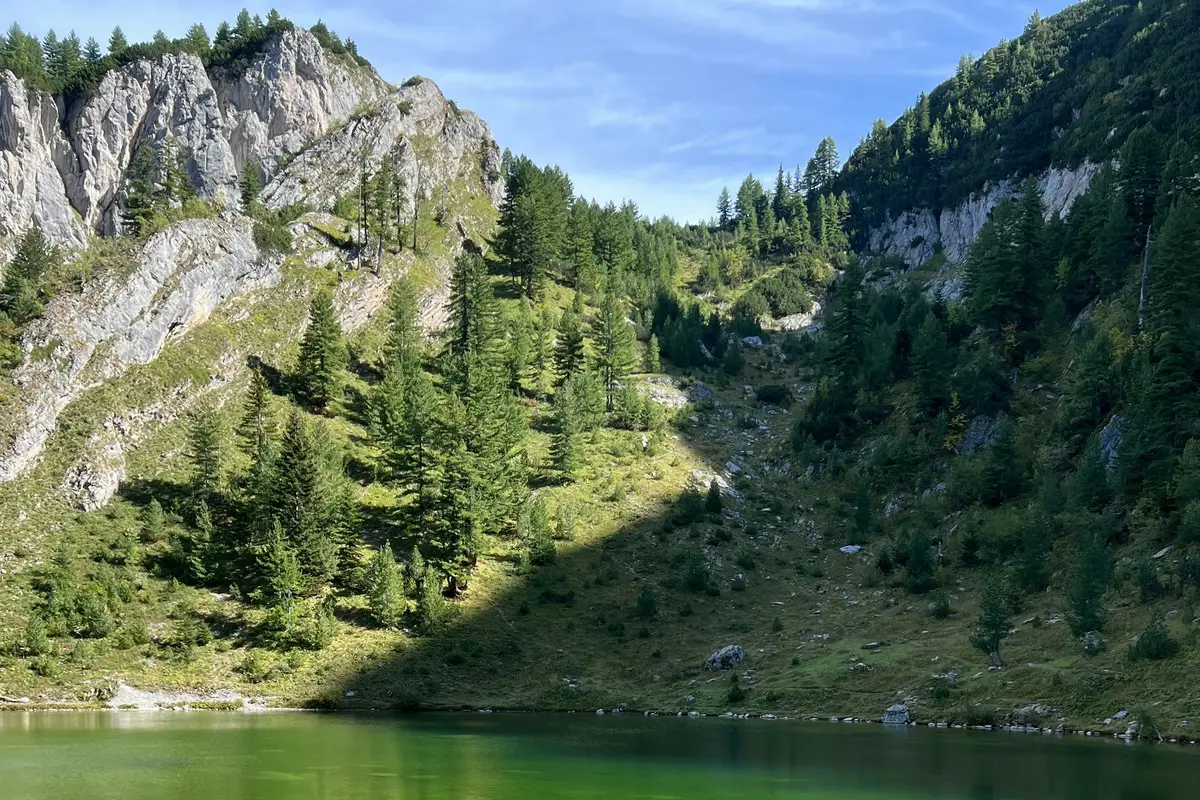 Ochrona prawna i priorytet odprawy